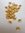 50 Casquillas de filigrana en metal dorado 6 mm